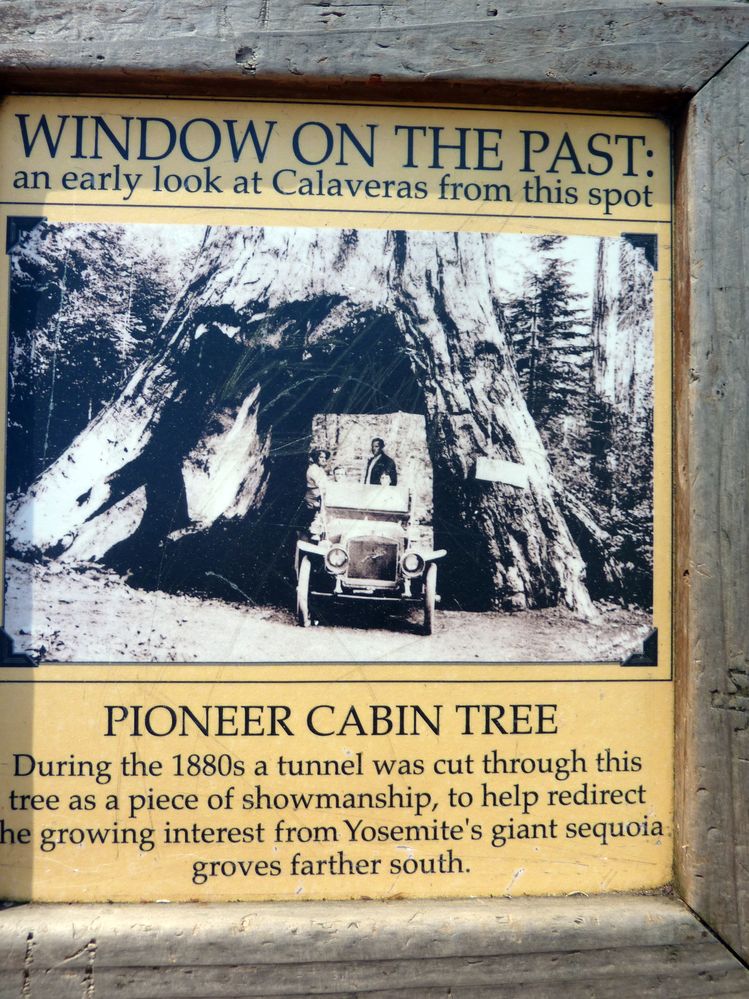 big tree state park (26).JPG